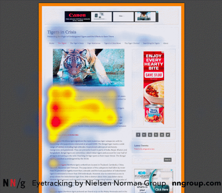 Heatmap di una pagina del sito TigersinCrisis.com che mostra una lettura a piramide invertita